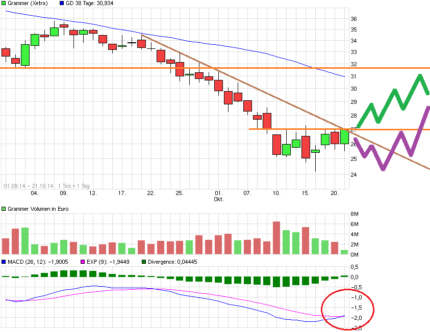 Grammer - schon gesehen?! 766745
