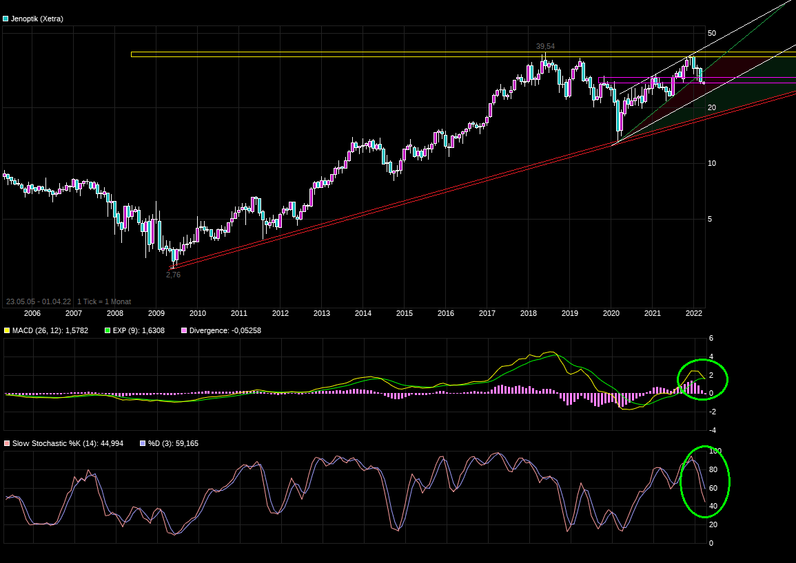 Der einstige Stern 1307605