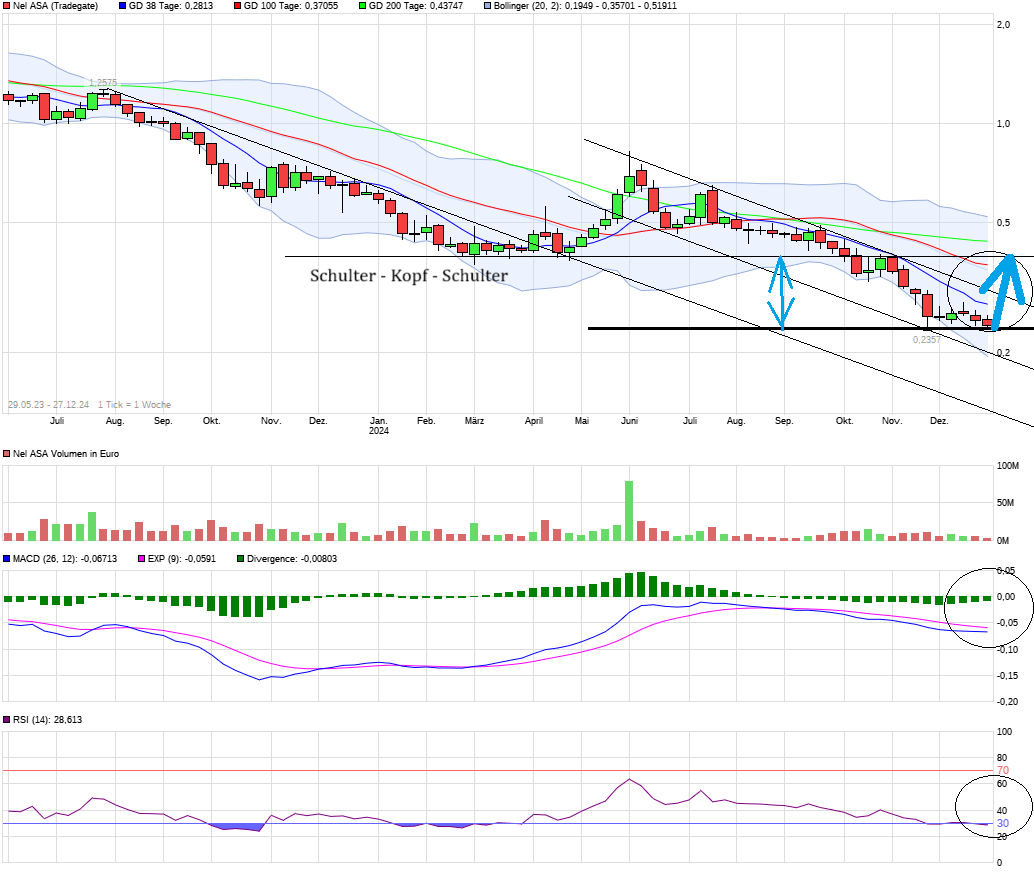NEL, der Wasserstoffplayer aus Norwegen 1464479