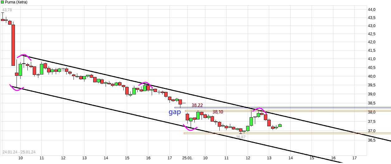 Puma die Erfolgsaktie 1409655