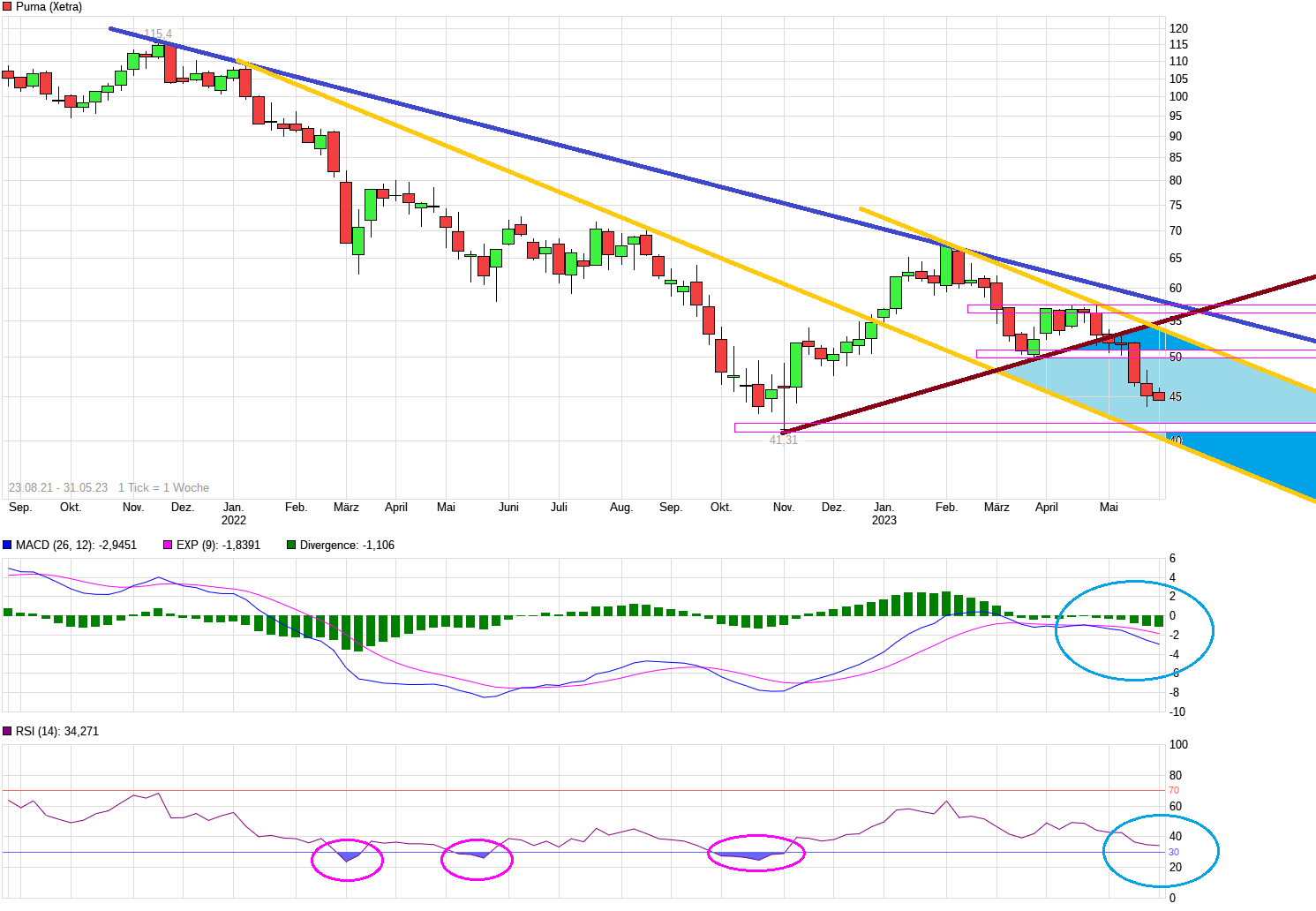 Puma die Erfolgsaktie 1375107