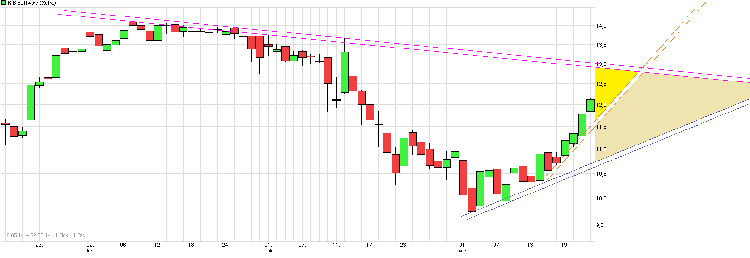 RIB Software AG 750608