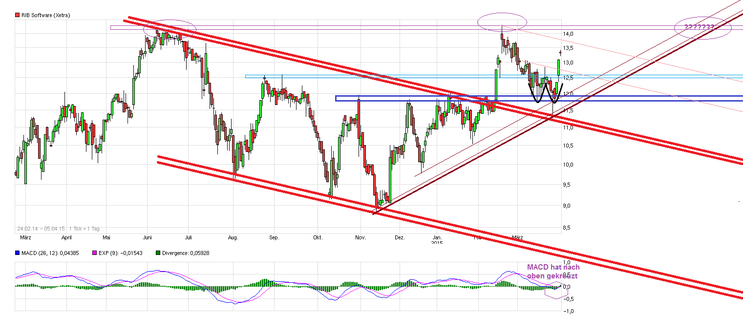RIB Software AG 814401