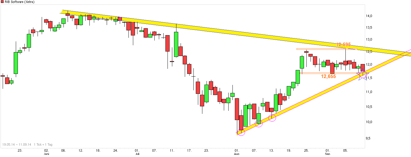 RIB Software AG 755572