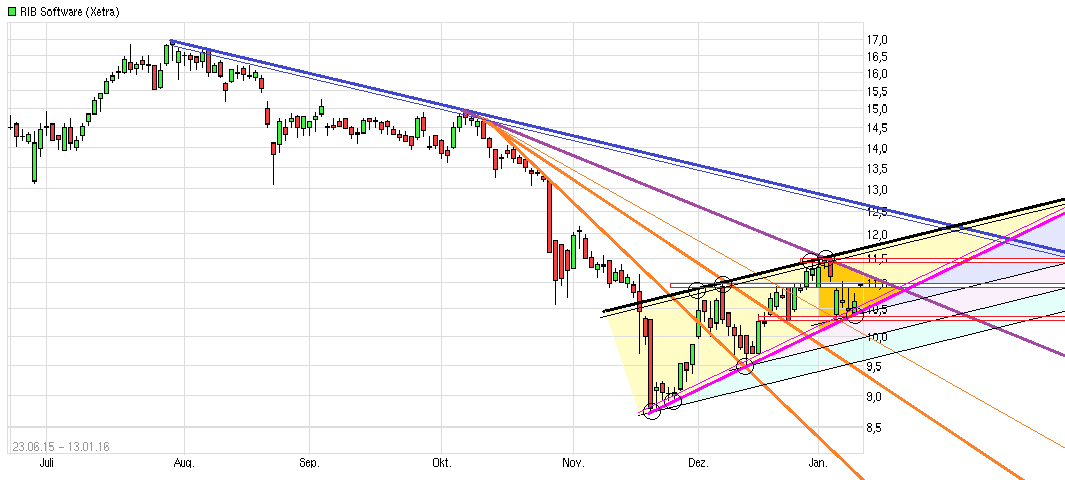 RIB Software AG 884594