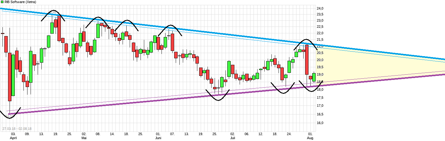 RIB Software AG 1067744