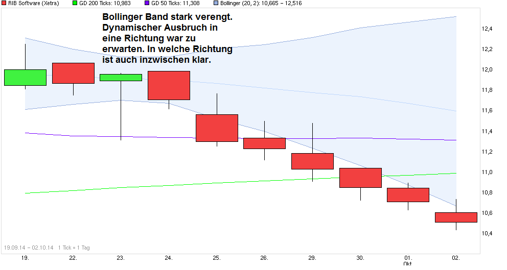 RIB Software AG 761517