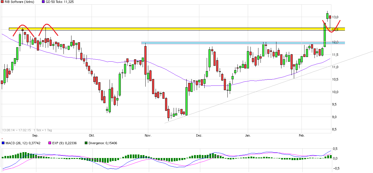 RIB Software AG 799761