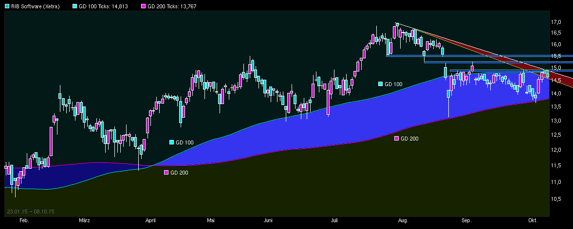 RIB Software AG 863606