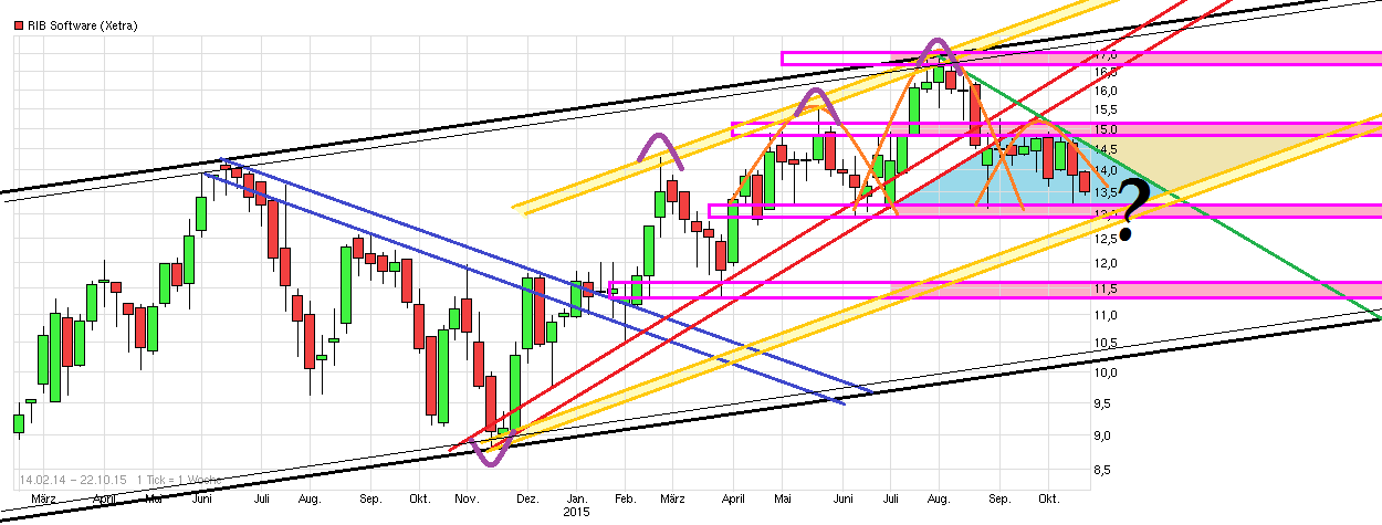 RIB Software AG 866316