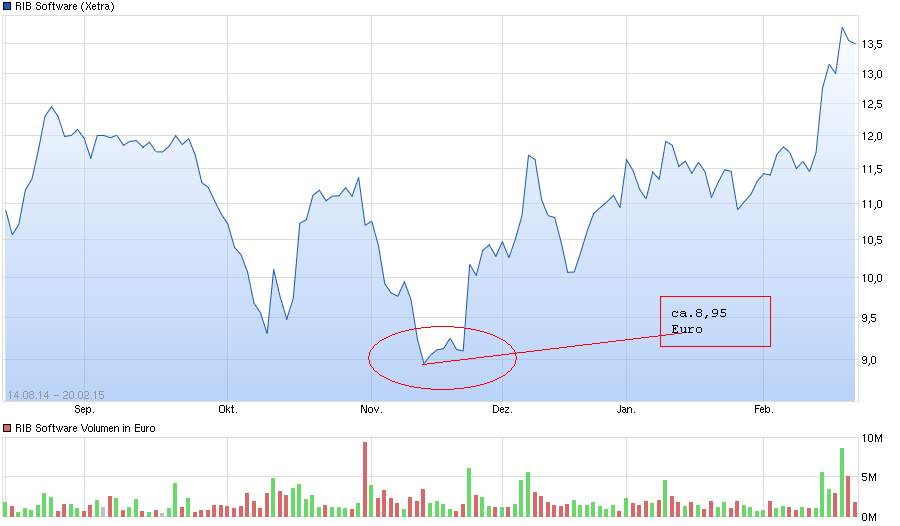 RIB Software AG 873052