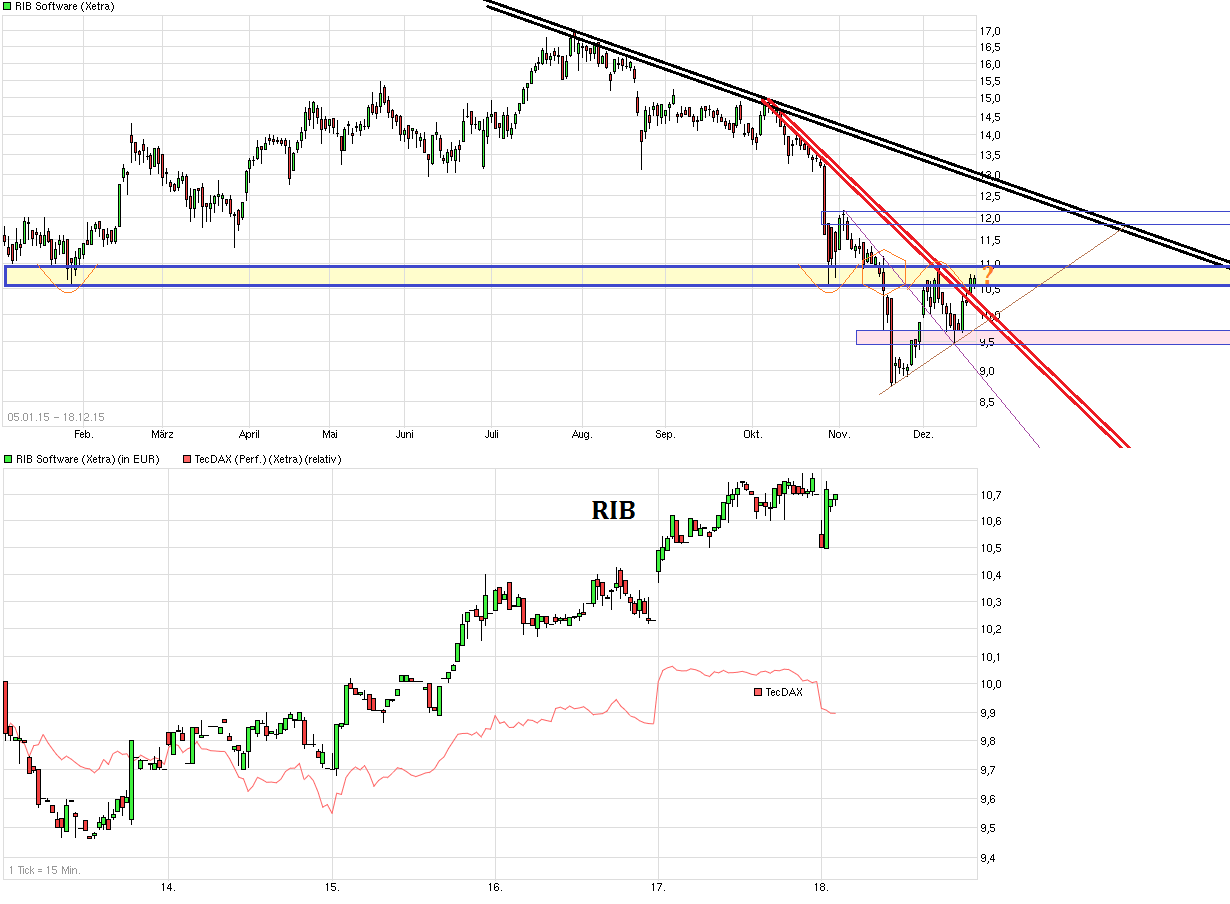 RIB Software AG 879449