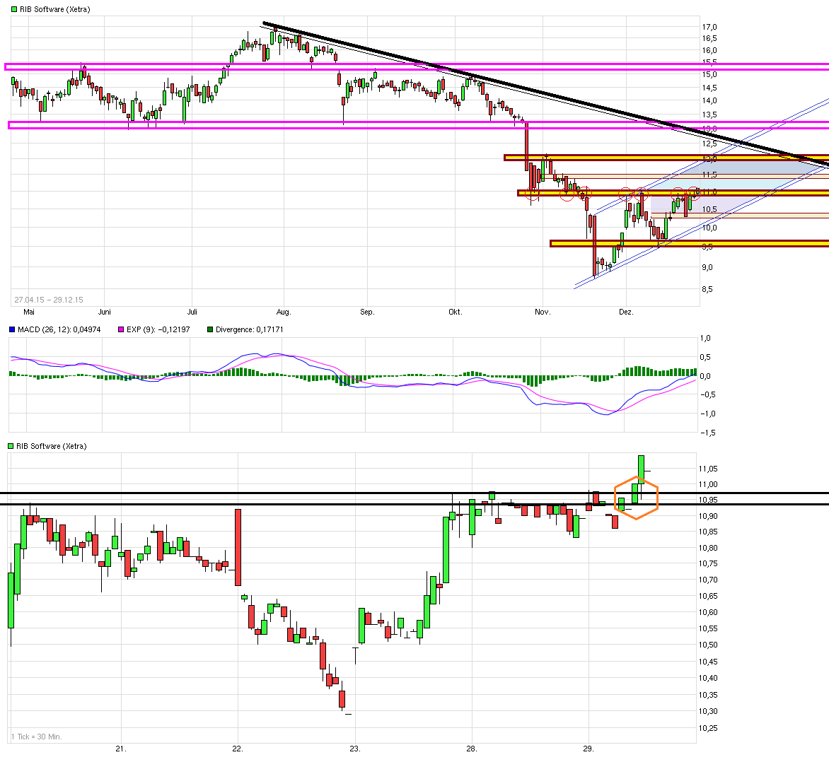 RIB Software AG 881324