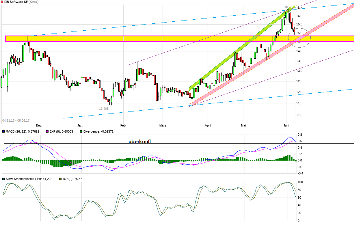 RIB Software AG 994475