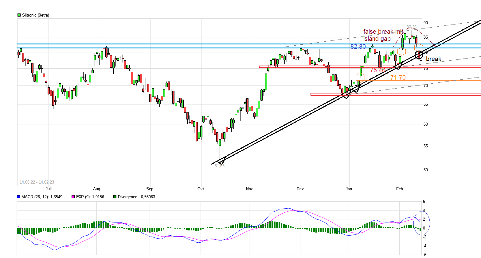 Siltronic WAF300 im TECDAX: Jetzt wird´s heiß 1357320
