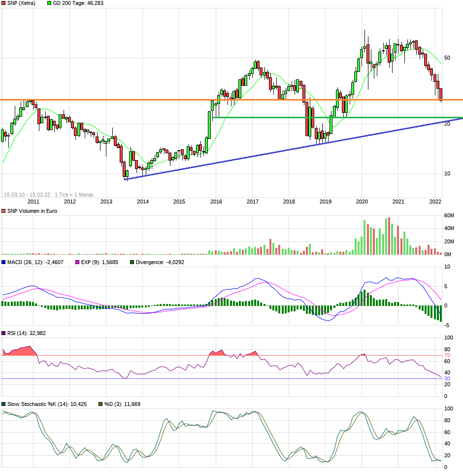 SNP auf dem Weg zu einer software company 1304687