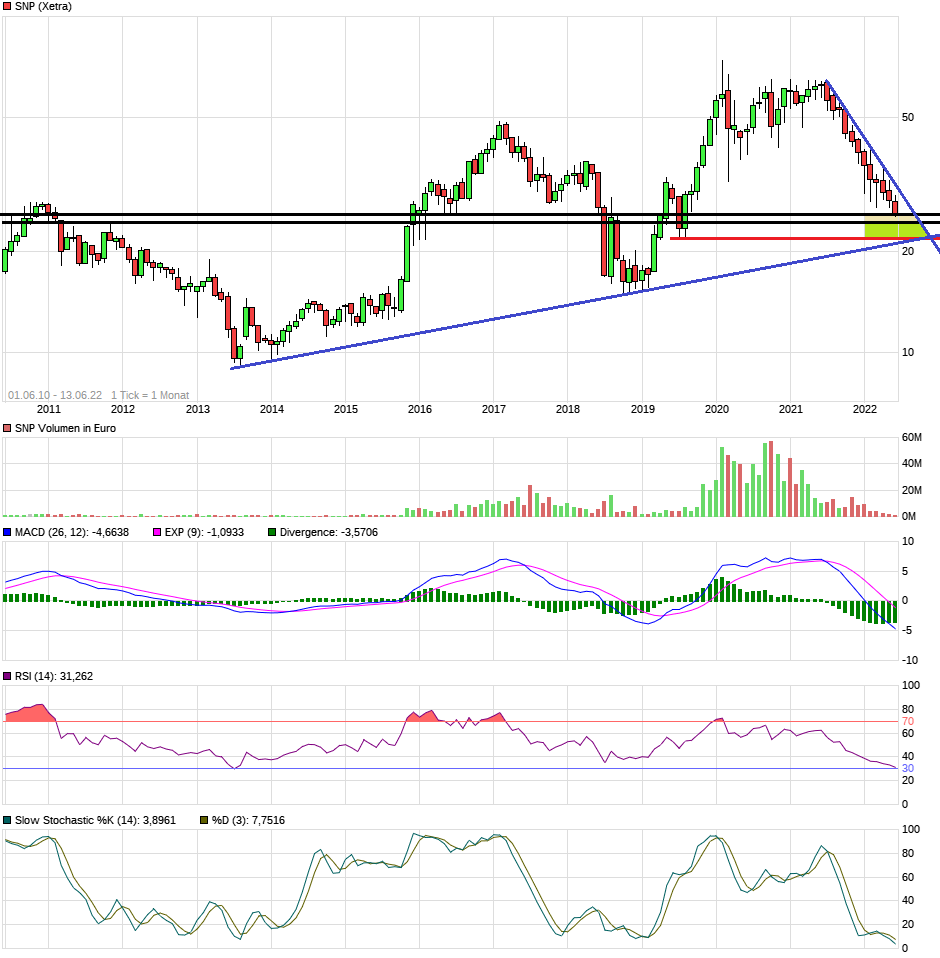 SNP auf dem Weg zu einer software company 1319137