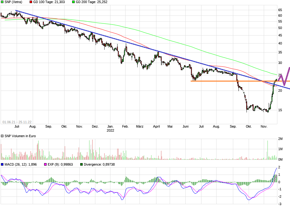 SNP auf dem Weg zu einer software company 1343795