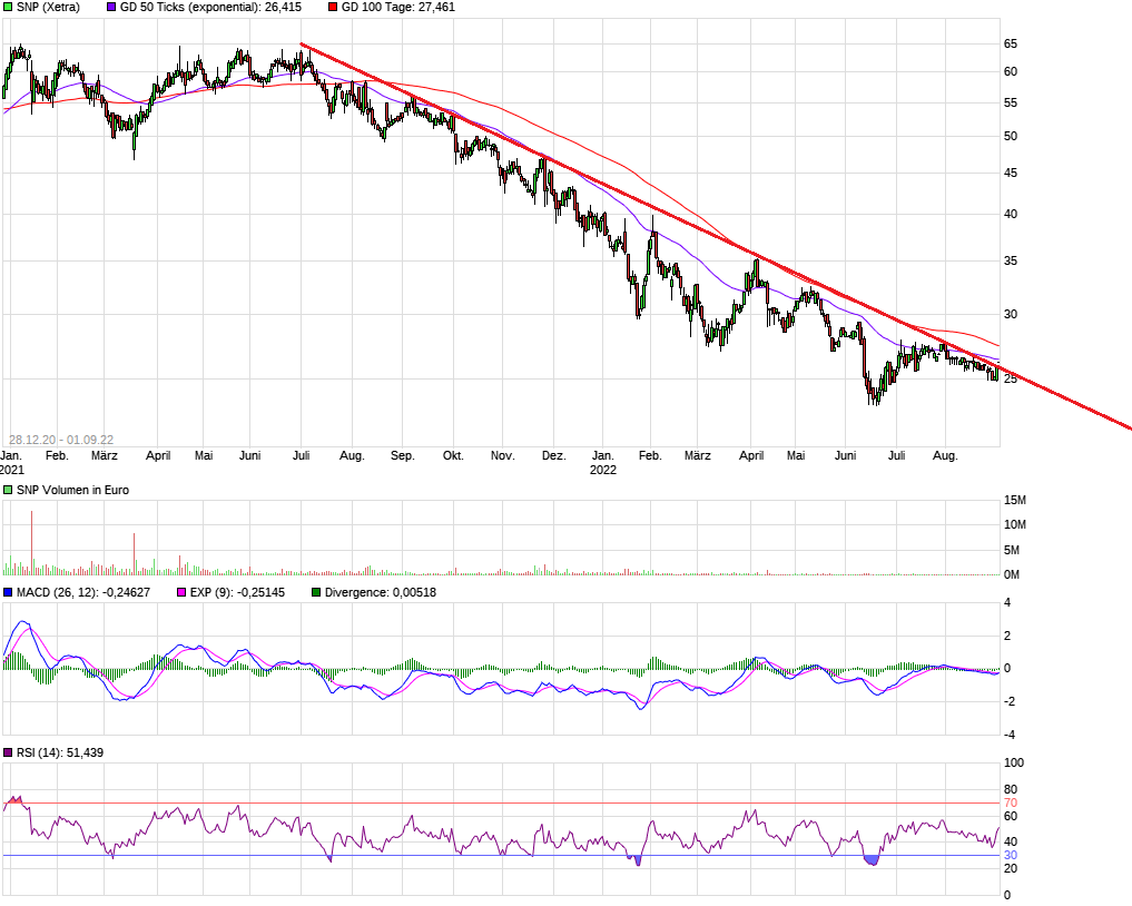 SNP auf dem Weg zu einer software company 1330701