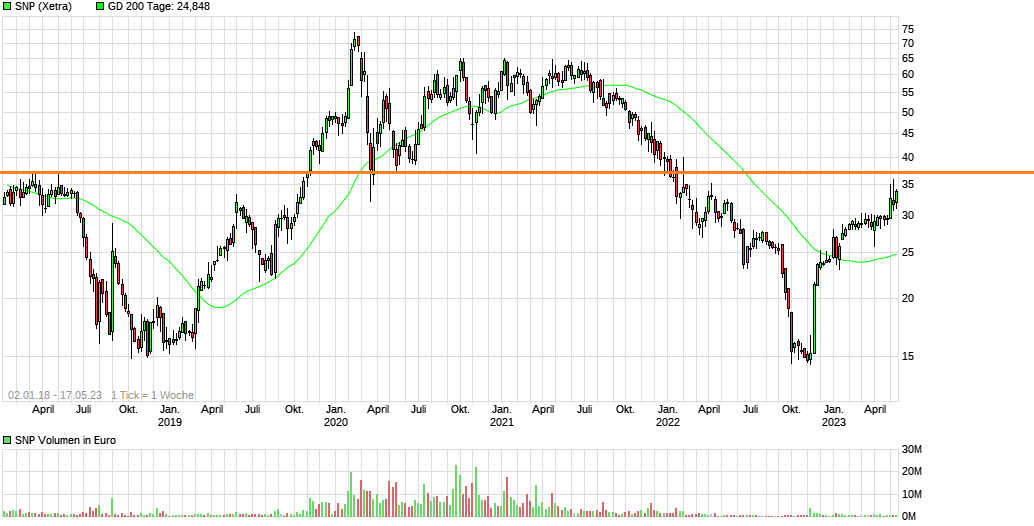 SNP auf dem Weg zu einer software company 1372908