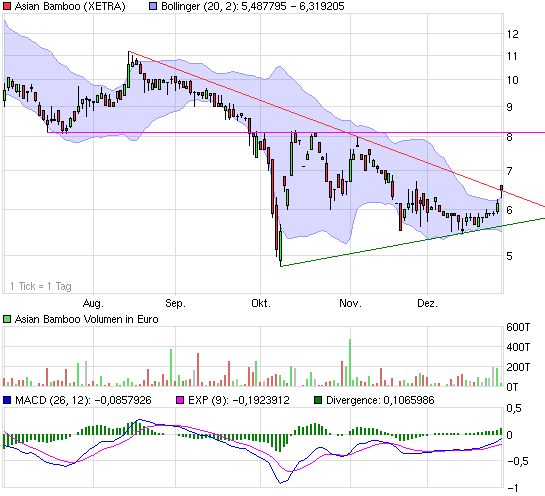 Asian Bamboo: KGV 4,18 - jetzt oder nie !! 208169