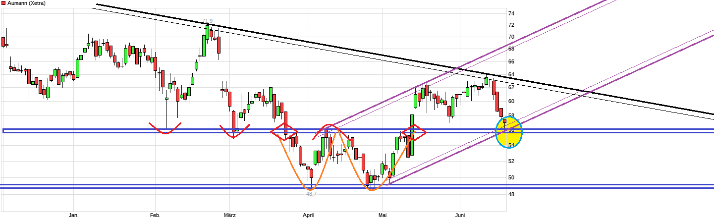 Aumann - die Neue 1060393
