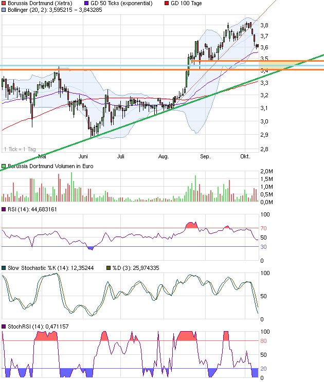 14 Gründe für ein Investment in BVB. 652605
