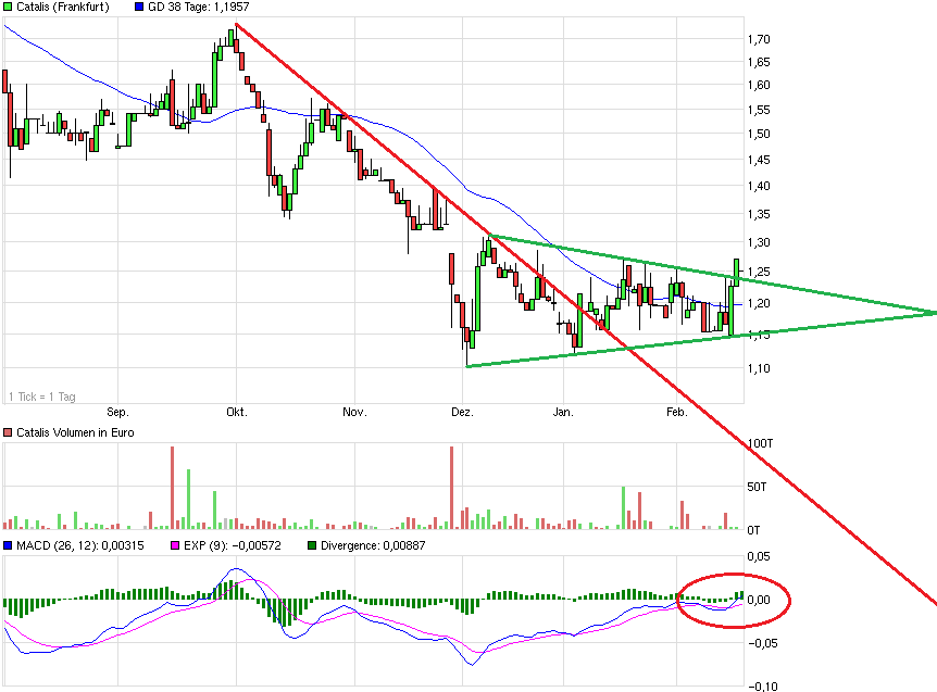 Catalis SE Renditechancen bis 2019 800101