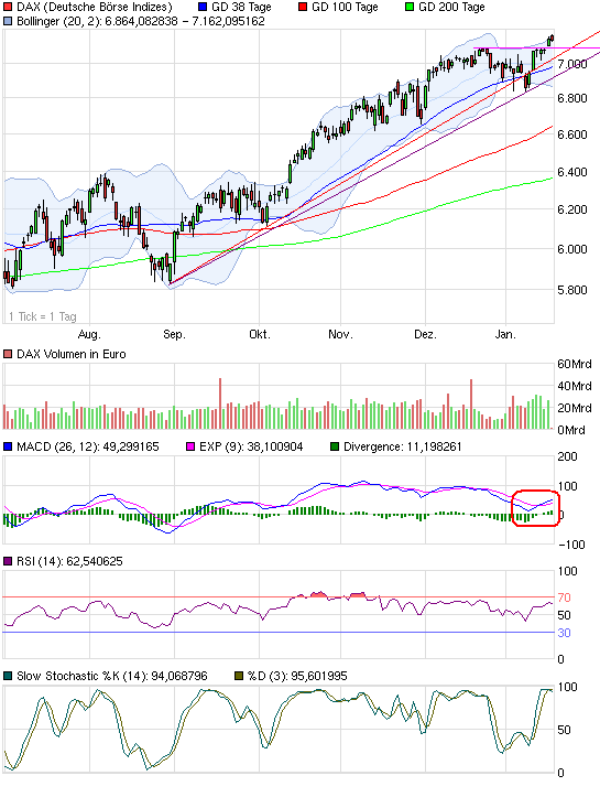 Die Bullen scharren gar nicht mit den Hufen, 374070