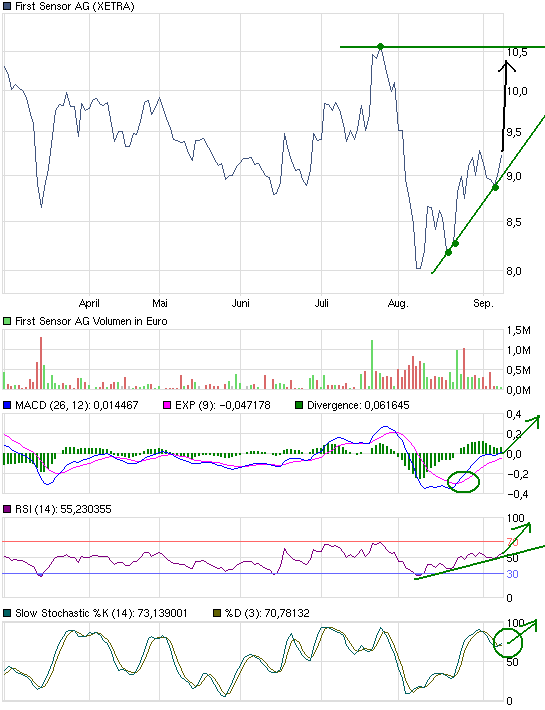 First Sensor AG (WKN: 720190) kaufen 437337