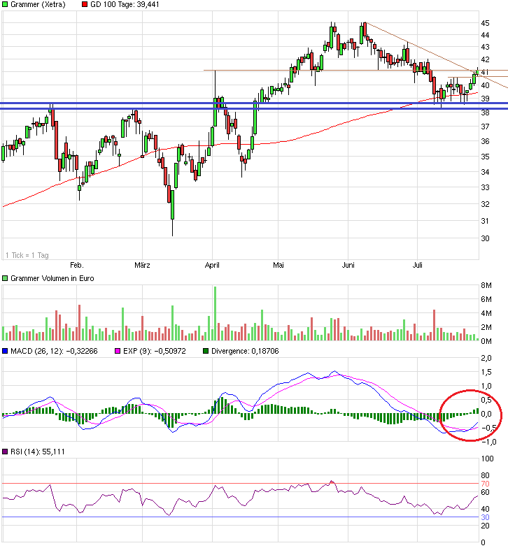Grammer - schon gesehen?! 743477