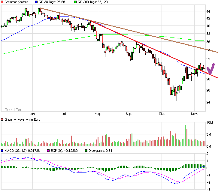 Grammer - schon gesehen?! 772748