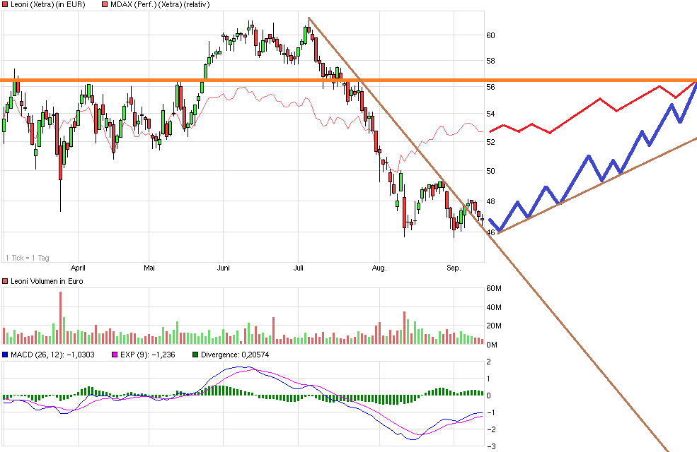 LEONI.... von der Drahtwerkstatt zum Global Player 755630