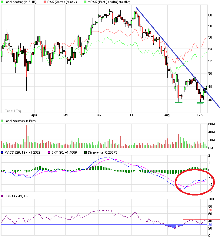 LEONI.... von der Drahtwerkstatt zum Global Player 754166