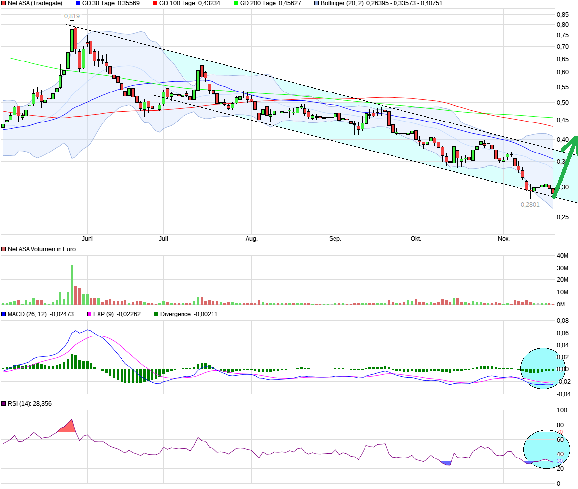 NEL, der Wasserstoffplayer aus Norwegen 1459010