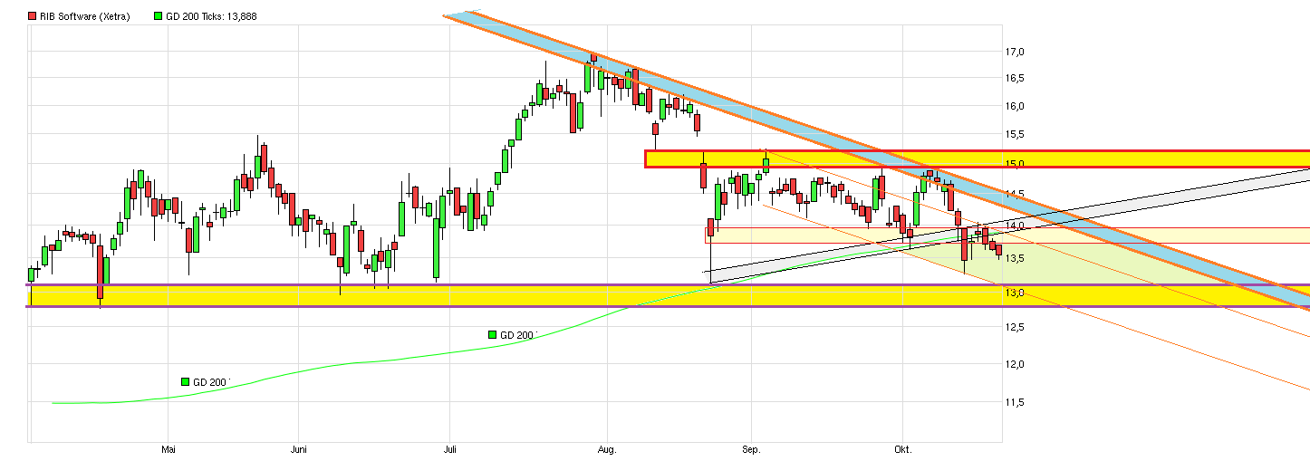 RIB Software AG 866129