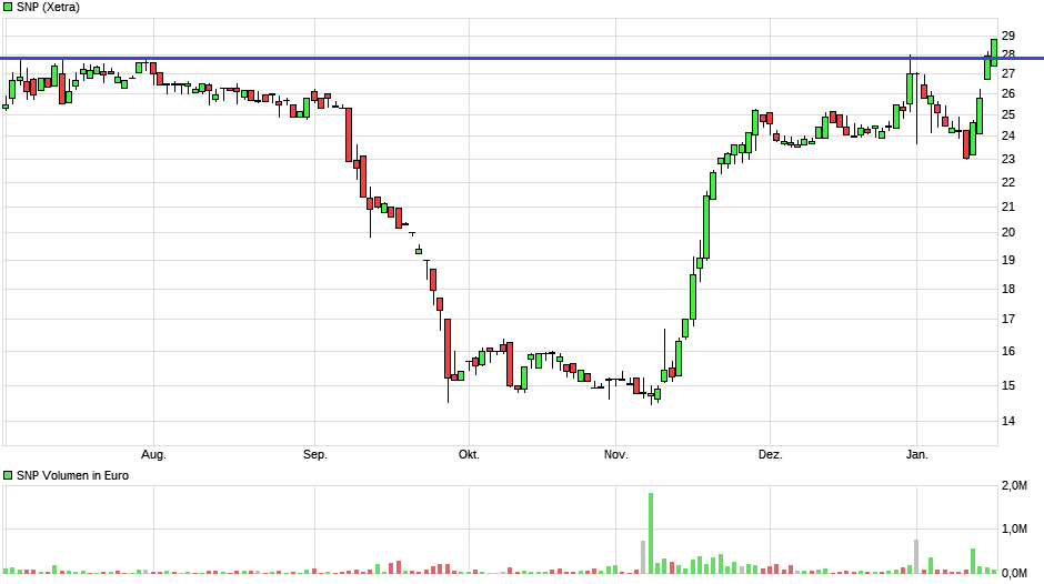 SNP auf dem Weg zu einer software company 1351866