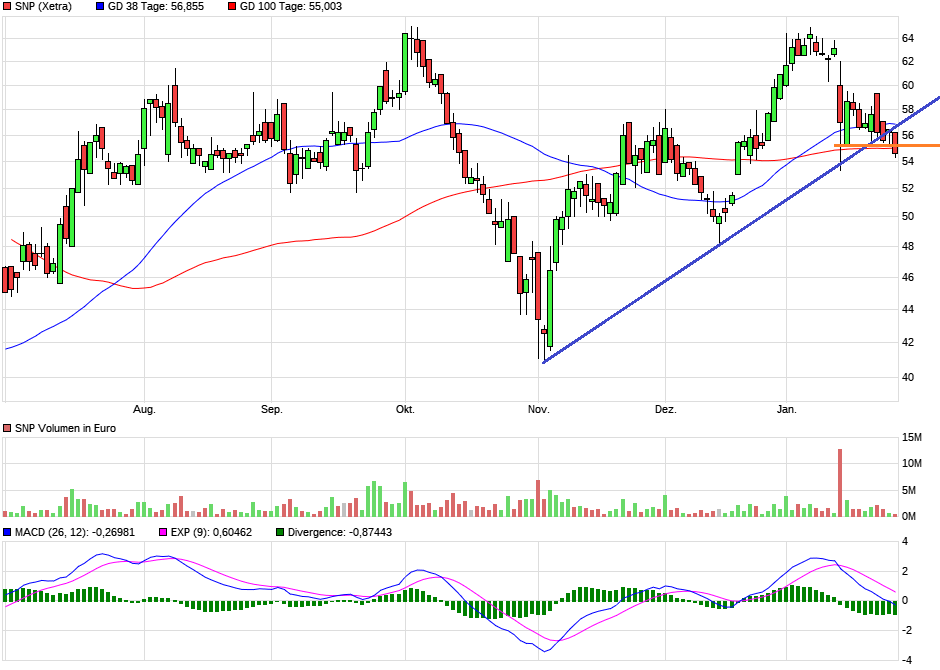 SNP auf dem Weg zu einer software company 1229418