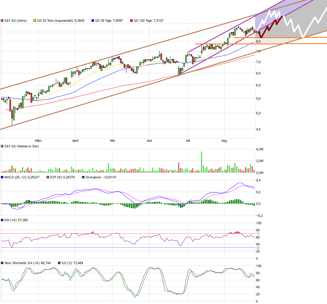 S+T AG - neuer TecDAX Kandidat? 935096