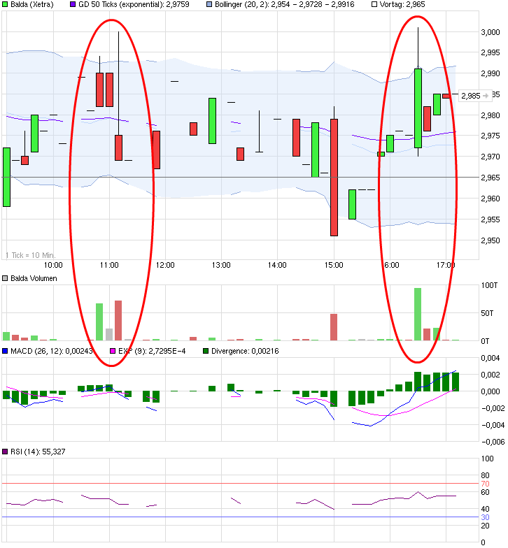 Balda schnelle 100 Prozent 802361