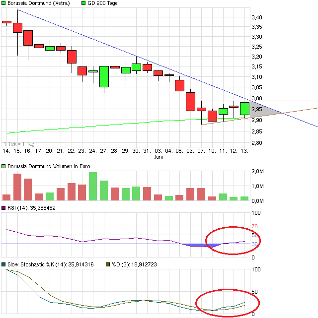 BVB Aktie & Fußball, Fakten und Meinungen 615335