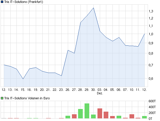 TRIA IT-solutions AG - Die Chance ! 561388