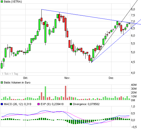 Balda schnelle 100 Prozent 365766