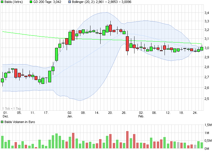 Balda schnelle 100 Prozent 802744