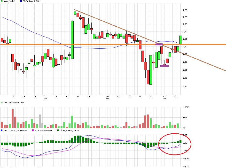 Balda schnelle 100 Prozent 856479