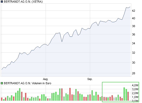 Bertrandt AG - super Orderbuch 1 zu 0,06 348082