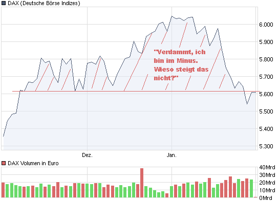 Der USA Bären-Thread 296271
