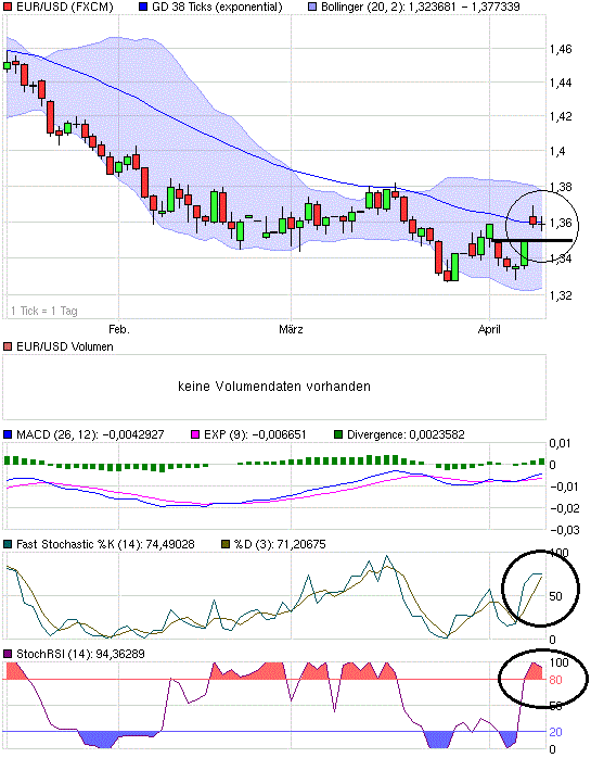 jetzt € shorten II 313039