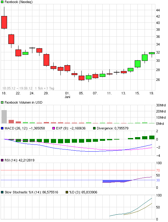 Facebook der Anfang vom Ende der Tulpen-Hausse? 516541