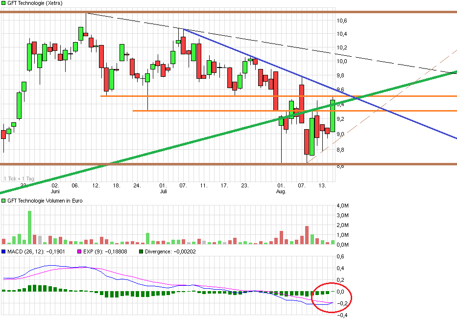 GFT Technologie - 2015 - Kursziel 10 Euro?? 748954